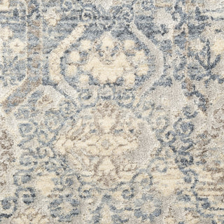 Nourison Sultana SLL05 Blue Area Rug Swatch Image