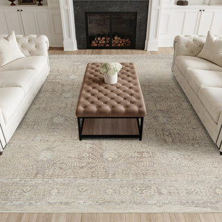 Nourison Sultana SLL07 Beige Area Rug Room Image Feature