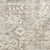 Nourison Sultana SLL07 Beige Area Rug Swatch Image