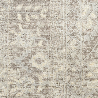 Nourison Sultana SLL07 Beige Area Rug Swatch Image