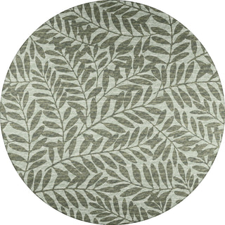 Dalyn Sedona SN5 Fernway Area Rug 