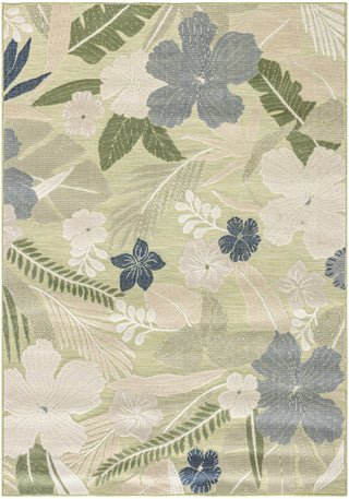 Nourison Suncoast SNC01 Green Blue Area Rug main image