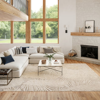 Nourison Suncoast SNC03 Beige Area Rug Room Image Feature