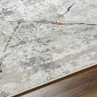 Livabliss Soldado SOD-2306 Area Rug