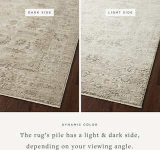 Loloi Sonnet SNN-01 Sand/Taupe Area Rug