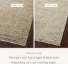 Loloi Sonnet SNN-04 Moss/Natural Area Rug