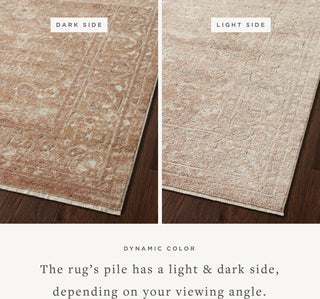 Loloi Sonnet SNN-04 Terracotta/Natural Area Rug