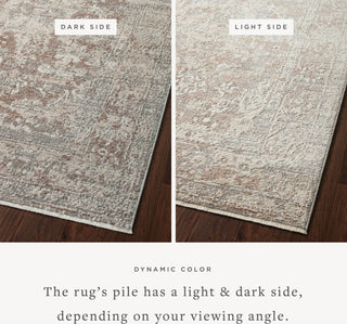 Loloi Sonnet SNN-05 Silver/Natural Area Rug