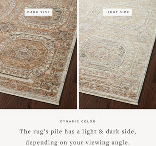 Loloi Sonnet SNN-06 Apricot/Multi Area Rug