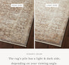 Loloi Sonnet SNN-09 Mocha/Tan Area Rug