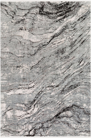 Surya Solar SOR-2309 Area Rug main image