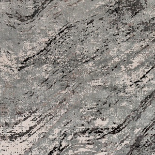 Surya Solar SOR-2309 Area Rug Swatch