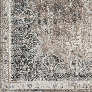 Surya Solar SOR-2315 Area Rug Swatch