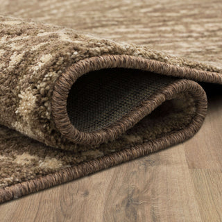 Karastan Enigma Spectral Pecan Area Rug