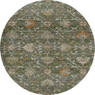 Dalyn Silk Road SR1 Basil Area Rug Round Main Image