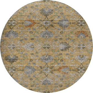 Dalyn Silk Road SR1 Saffron Area Rug Round Main Image
