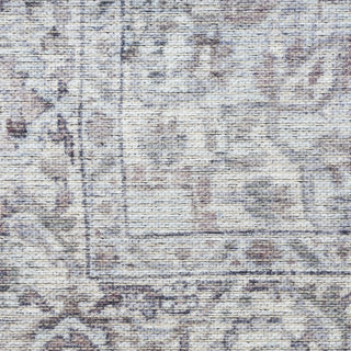 Nourison Machine Washable Series 1 SR101 Ivory Grey Area Rug by Nicole Curtis Swatch Image