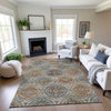 Dalyn Silk Road SR12 Multi Area Rug Lifestyle Image Feature