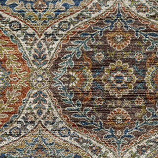 Dalyn Silk Road SR12 Multi Area Rug Swatch Image