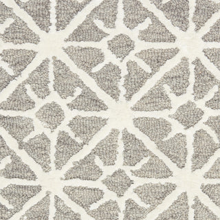 Nourison Series 2 SR201 Grey Area Rug Swatch Image