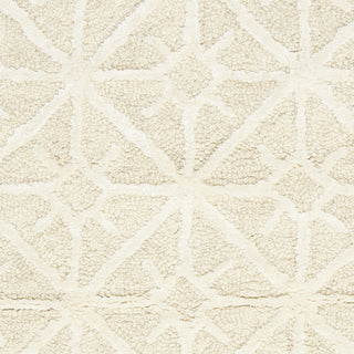 Nourison Series 2 SR201 Ivory Area Rug by Nicole Curtis Swatch Image