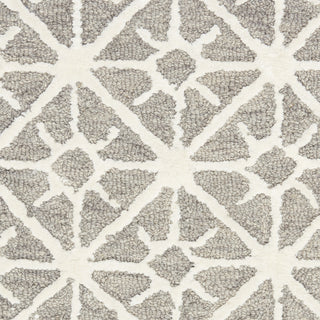 Nourison Series 2 SR201 Grey Area Rug Swatch Image