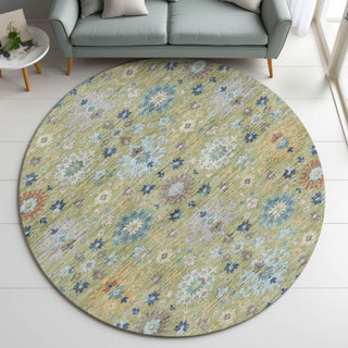 Dalyn Silk Road SR3 Aloe Area Rug Round Lifestyle Image Feature