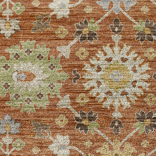Dalyn Silk Road SR3 Cayenne Area Rug Swatch Image