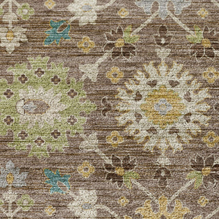 Dalyn Silk Road SR3 Mocha Area Rug Swatch Image