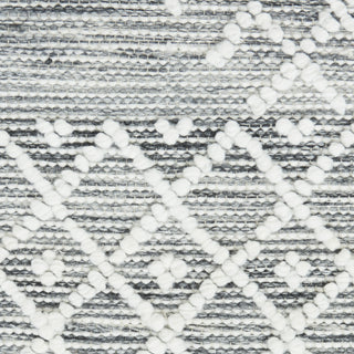 Nourison Machine Washable Series 3 SR302 Grey/Ivory Area Rug by Nicole Curtis Swatch Image