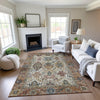 Dalyn Silk Road SR5 Copper Area Rug Lifestyle Image Feature