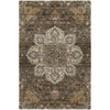 Dalyn Silk Road SR6 Chocolate Area Rug main image