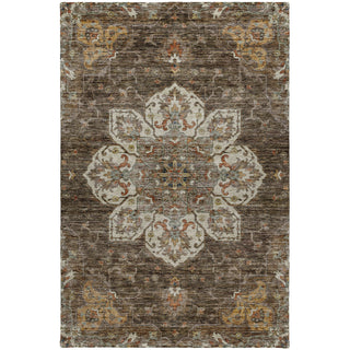 Dalyn Silk Road SR6 Chocolate Area Rug main image