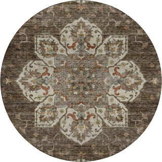 Dalyn Silk Road SR6 Chocolate Area Rug Round Main Image