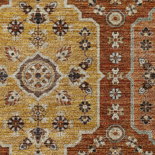 Dalyn Silk Road SR7 Paprika Area Rug Swatch Image