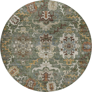 Dalyn Silk Road SR8 Basil Area Rug Round Main Image