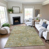 Dalyn Silk Road SR9 Sage Area Rug Lifestyle Image Feature