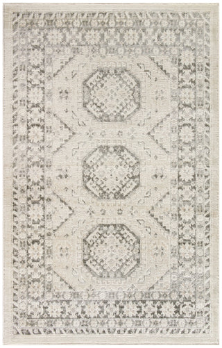 Nourison Serenity Home SRH01 Ivory Grey Area Rug main image