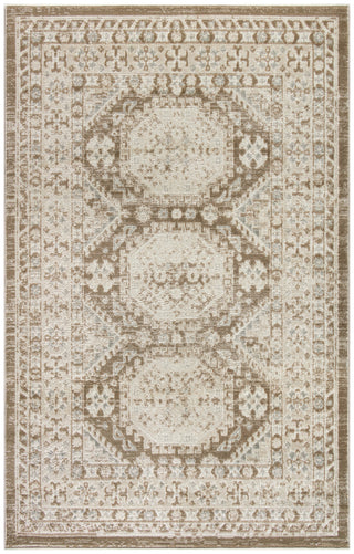 Nourison Serenity Home SRH01 Ivory Mocha Area Rug main image