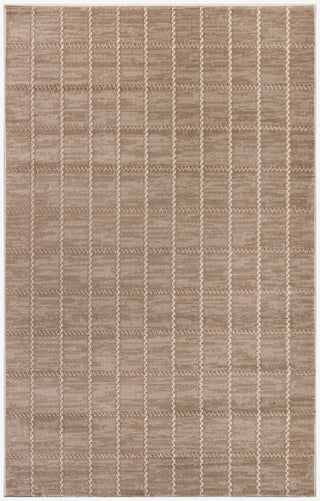 Nourison Serenity Home SRH05 Mocha Ivory Area Rug main image