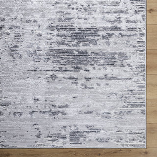 Livabliss Sunrise SRI-2305 Area Rug by Surya Detail