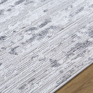 Livabliss Sunrise SRI-2305 Area Rug by Surya Detail