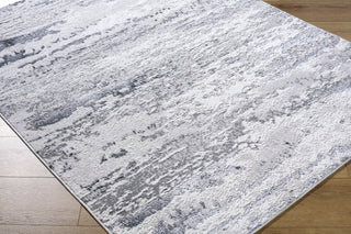 Livabliss Sunrise SRI-2307 Area Rug by Surya Corner Shot