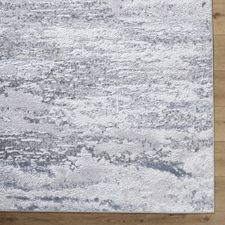 Livabliss Sunrise SRI-2307 Area Rug by Surya Detail