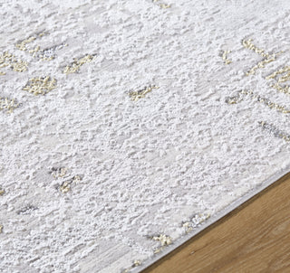 Livabliss Sunrise SRI-2309 Area Rug by Surya Detail