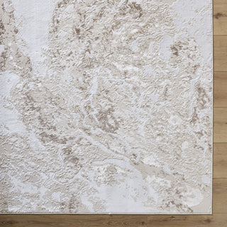 Livabliss Sunrise SRI-2314 Area Rug by Surya Detail