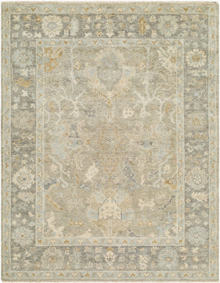 Surya Sakarya SRY-2304 Area Rug main image