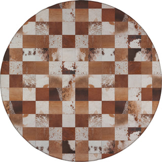 Nourison Machine Washable Series 1 SR103 Ivory/Latte Area Rug by Nicole Curtis Round Main Image