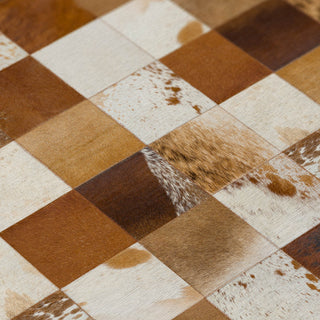 Nourison Machine Washable Series 1 SR103 Ivory/Latte Area Rug by Nicole Curtis Swatch Image