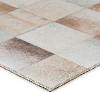 Nourison Machine Washable Series 1 SR103 Ivory/Latte Area Rug by Nicole Curtis Corner Image